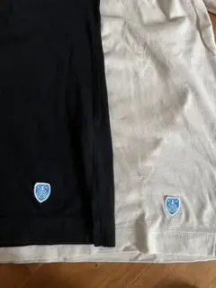 ORCIVAL 半袖Tシャツ 2枚セット レディース サイズ:0