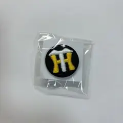 Item thumbnail for item b151034d-9f4d-4e32-83bd-d6b798a53f2d