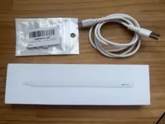 Apple Pencil (USB-C) 付属品あり
