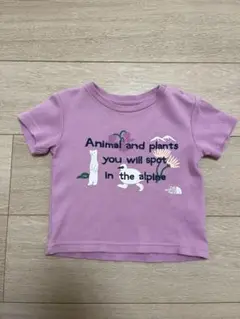 ノースフェイスTシャツ 80サイズ
