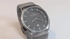【ジャンク】スカーゲン SKW6140