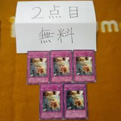 ギャンブル5枚セット