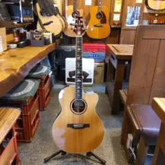 PRS SE Angelus Custom (管理テ) PRS SE Angelus Custom - Acoustic | Sweetwater