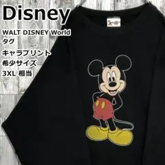 Disney's WORLD OF ENGLISH スウェット Disney トレーナー スウェット 2024AW Disney/ディズニー