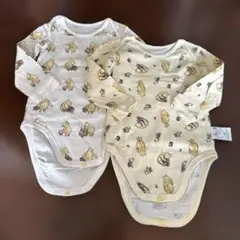 Item thumbnail for item 4e544993-5a46-436a-b113-1780679f9037