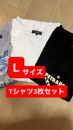 HYDRGEN Lサイズ Tシャツ3枚セット