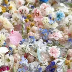 1603 ドライフラワーの小花ミックスセット