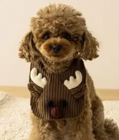 Item thumbnail for item 3c3df7d4-0e0b-473f-9ef0-d3468369cad4