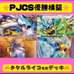 【PJCS優勝‼️】ライコポンデッキ 構築済みデッキ タケルライコexデッキ