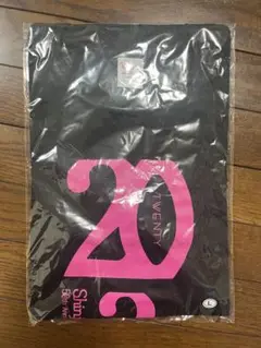 Item thumbnail for item 67df5d38-b68c-4040-9183-dd9c77c1ebdf
