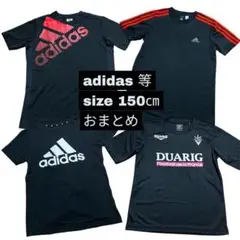 Item thumbnail for item 6a78a515-d8bc-440e-97ab-9cbd9a16a24f