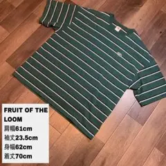 FRUIT OF THE LOOM Retro Border Tシャツ 緑