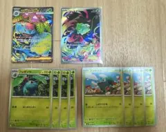 メガフシギバナex SR フシギダネAR 進化ライン　ポケモンカードメガブレイブ