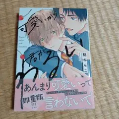 可愛いから君がわるい