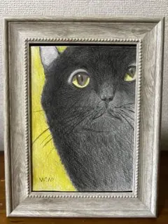 色鉛筆画.A4.黒猫.51 色鉛筆画.A4.黒猫.51
