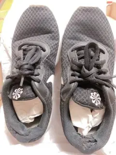 Item thumbnail for item 98be0868-48a1-4842-a5d0-029f2da79294