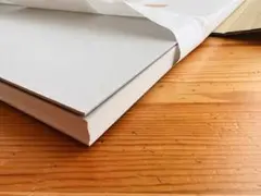 Item thumbnail for item 3c1cf734-7931-4cc6-a3a0-92523d6648d9