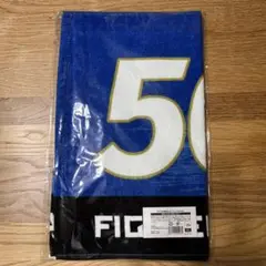 ◾️ファイターズ　エスコンフィールド　メッセージタオル