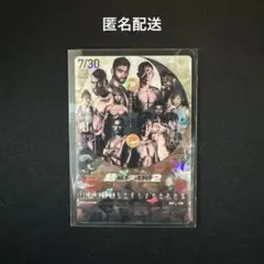 RIZIN ポテトスティック ポスターカードコレクションNo.21