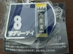 ゼッケンメタルキーホルダー　ラブリーデイ 未開封