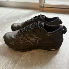 WAVE MUJIN LS GTX(ゴアテックス／防水) BLK 27.0cm