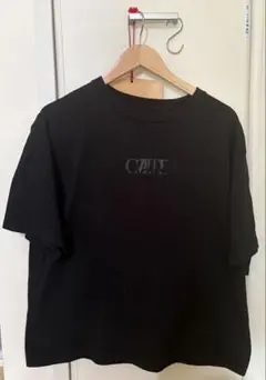 CVLTE ロゴT Lサイズ
