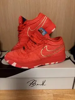 Nike BOOK1 SEDONA