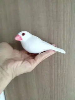 白文鳥のバードカービング