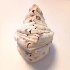 貝殻　ランプ