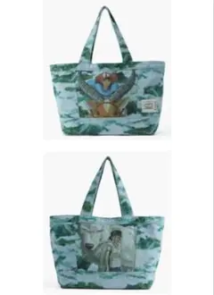 Item thumbnail for item 246dff35-9f9b-4799-a710-4f558e9f80d2