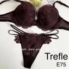 ワコール/トレフル 71グループ ブラソングE75ブラウン
