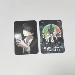 ENHYPEN ヒスン ヘリ ロッテワールド 特典