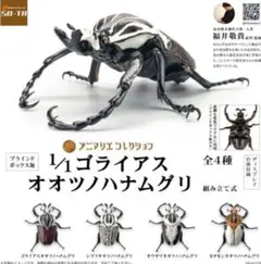 Item thumbnail for item ca0df33c-d3c3-4d3b-8965-86be864fe315