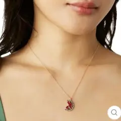 kate spade スイカモチーフ ピアス＆ネックレスセット