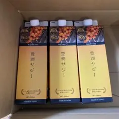 フィネス 豊潤サジー 1000ml 紙パックタイプ