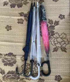 Item thumbnail for item 0f5f0370-f1cf-494f-ba88-31b706391707