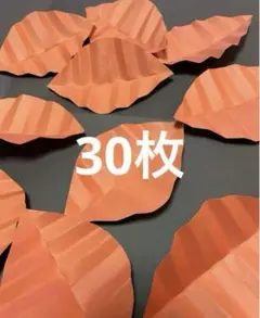 落ち葉　30枚