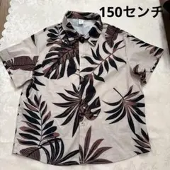 リーフプリント 半袖シャツ 150センチ