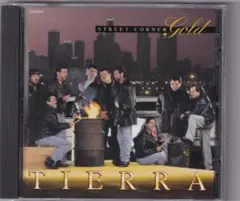 Tierra Street Corner Gold