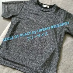 アーバンリサーチ　ラメ入り半袖Tシャツ　フリーサイズ