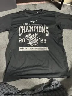 Item thumbnail for item adc2583d-943f-4c7b-aa34-91443ee5e474