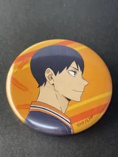 影山飛雄 缶バッジ アニメイト ゴミ捨て場の決戦