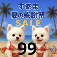 ✨夏の感謝祭セール✨パネル【Ｎｏ．99】
