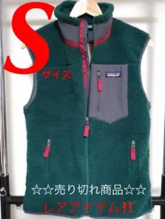 パタゴニアレトロXベスト ピキグリーン 希少Sサイズ