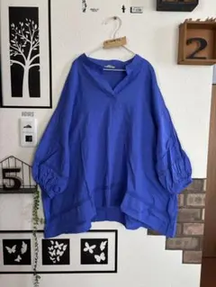 美品★【抗菌防臭】晴れた日の爽やかスキッパーブラウス＊ブルー
