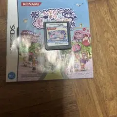 DSソフト とんがりボウシと魔法のお店