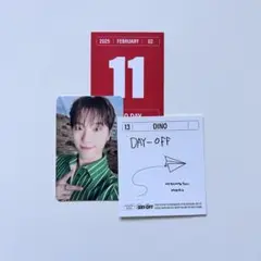 SEVENTEEN シーグリ 2025　ディノ