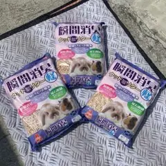 Item thumbnail for item 3a6c5ed4-cdf1-48a2-a0a0-ccaee7469496