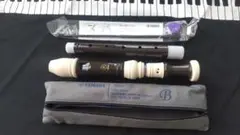 Item thumbnail for item 5245bb4c-d00f-486a-adeb-788f0528cb35