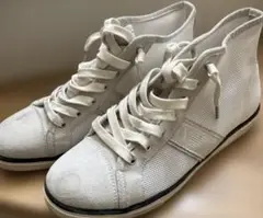 Item thumbnail for item 3d721569-39e7-43fc-aae5-a182c4feaed5